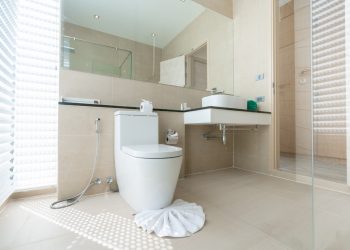 Useful Guide about the Rimless toilet