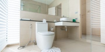 Useful Guide about the Rimless toilet