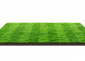 artificial grass supplier