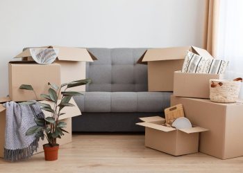The Services to Expect from a Professional Moving Company