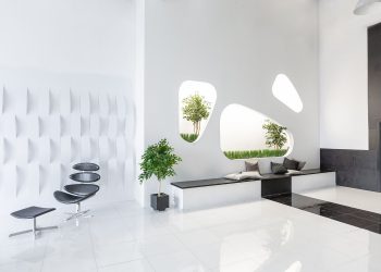 Creating a Greener Salon: Eco-Friendly Products for a Sustainable Future