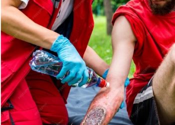 The Essentials of a Snake Bite First Aid Kit in Australia