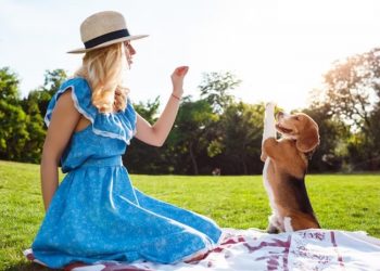 Adorable and Hilarious Pets That Will Bring Sunshine to Your Day