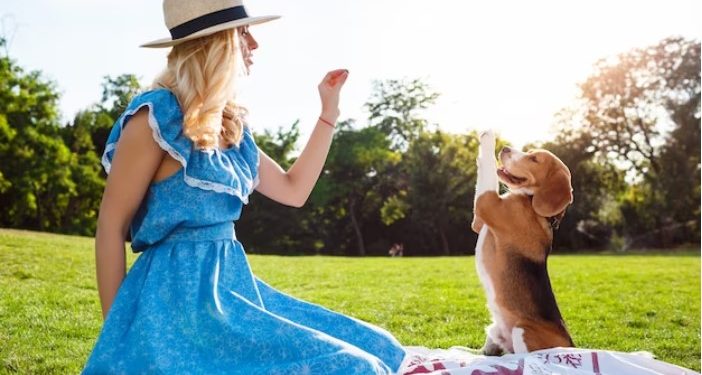 Adorable and Hilarious Pets That Will Bring Sunshine to Your Day