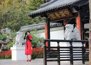 Explore Daegu Sightseeing: Discover South Korea’s Hidden Gem – zebvoo