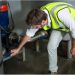 Selecting the Right Air Duct Cleaning Service in Tennessee: A Focus on Murfreesboro and Brentwood