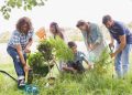 What is the Best time to Plant Trees and Shrubs?