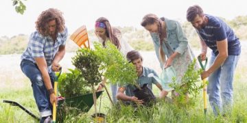 What is the Best time to Plant Trees and Shrubs?