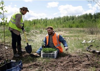 Cultivating Change: The Transformative Power of Rehab in Rebuilding Lives