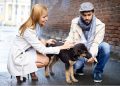 Decoding Pet Insurance For Your Furry Friend