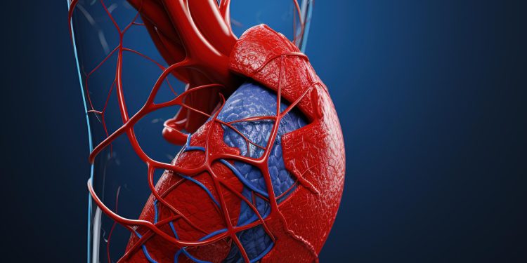 Elevating Vascular Health: Vein Treatment Options in Manhattan