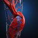 Elevating Vascular Health: Vein Treatment Options in Manhattan