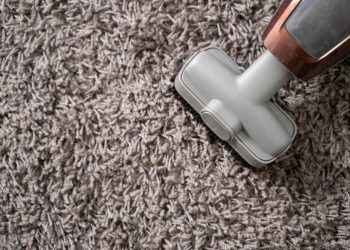 Carpet Cleaning North Shore: A Comprehensive Guide