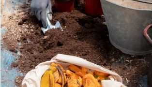 The Benefits of Hot Composting