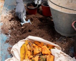 The Benefits of Hot Composting
