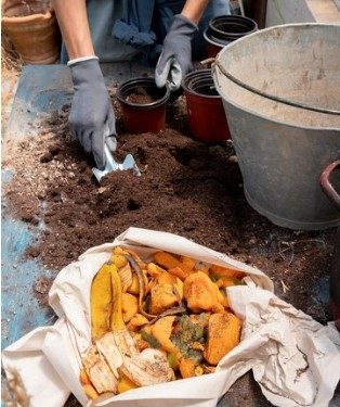 The Benefits of Hot Composting