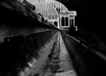 The Importance of Gutter Cleaning: Protecting Your Home from Water Damage