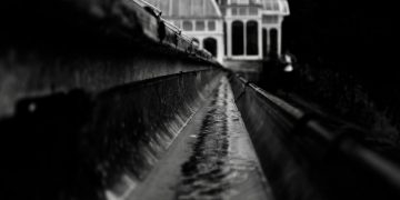 The Importance of Gutter Cleaning: Protecting Your Home from Water Damage