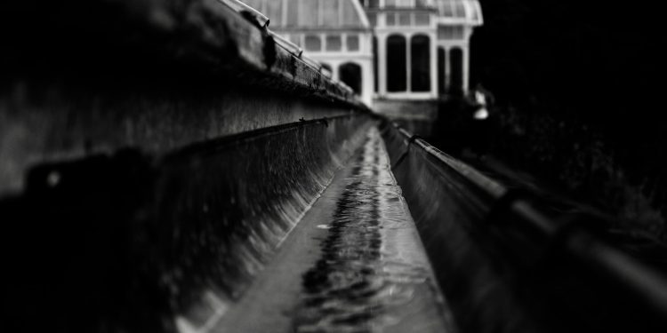 The Importance of Gutter Cleaning: Protecting Your Home from Water Damage