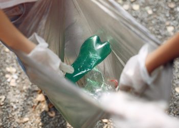 Junk and Rubbish Removal: Essential for a Clean and Organized Space