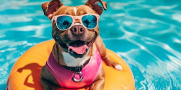 Pet-Friendly San Diego: A Tail-Wagging Guide to Moving and Living