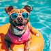 Pet-Friendly San Diego: A Tail-Wagging Guide to Moving and Living