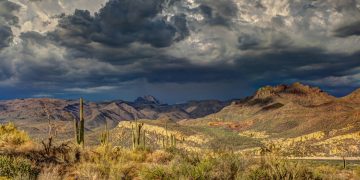 Why Is Land for Sale in Arizona a Good Investment Opportunity?