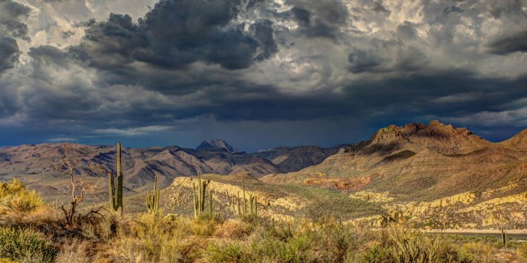 Why Is Land for Sale in Arizona a Good Investment Opportunity?