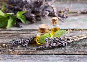 Lavender Oil for Anxiety: Benefits & How to Use