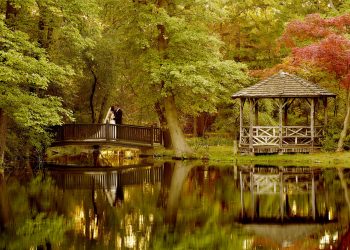 5 Ways to Make the Most of an Outdoor Wedding Venue for Stunning Photos