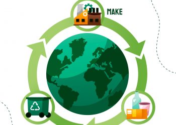 How Circular Economy Principles Help SMEs Cut Costs: A 2024 Guide