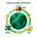 How Circular Economy Principles Help SMEs Cut Costs: A 2024 Guide