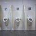 Choosing Commercial Toilet Cubicles: Key Factors for Your Business