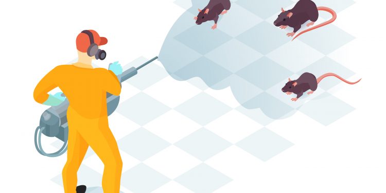 Why Pest Control Huntsville AL is Your Best Defense Against Termite Havoc