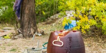 Why Bulk Bags of Pebbles are the Secret to Easy, Stunning Garden Transformations