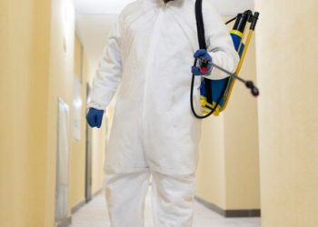 Akkad Pest Control: Your Trusted Pest Control Solution in Dubai