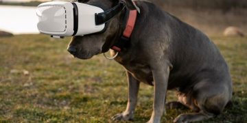 Innovative Pet Tech Gadgets to Make Life Easier for You and Your Pets