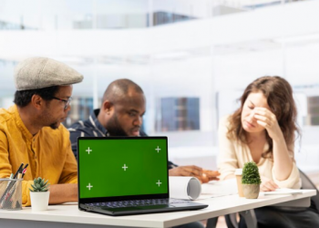 Understanding the Prejudices of Kmspico