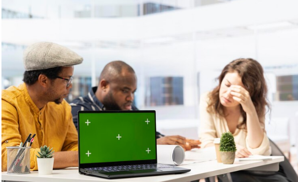 Understanding the Prejudices of Kmspico