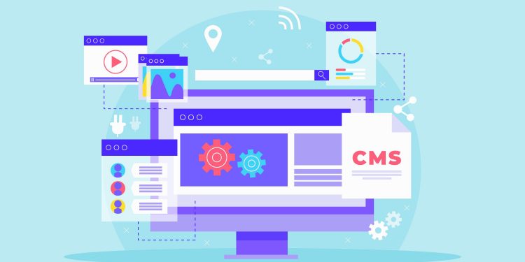 10 Web Design Principles Every Beginner Should Know