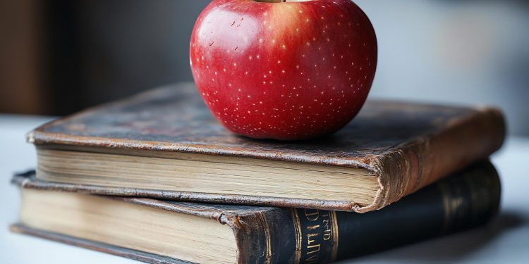 A Day in the Life at the Best IB Preschools in Bangalore