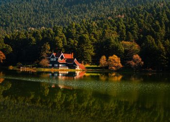 Reasons to Explore Guntersville Lake Homes for Sale This Year