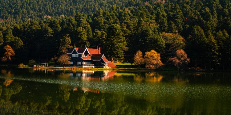 Reasons to Explore Guntersville Lake Homes for Sale This Year