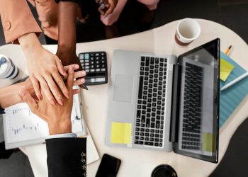 Elk Grove: A Growing Hub for Business and Community in California