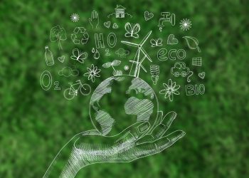 The Benefits of Switching to Environmentally Sustainable Practices