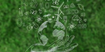 The Benefits of Switching to Environmentally Sustainable Practices
