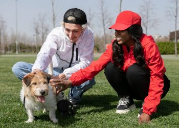 How a Dog Poop Pickup Service Helps Prevent the Spread of Disease