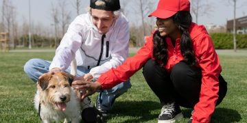 How a Dog Poop Pickup Service Helps Prevent the Spread of Disease