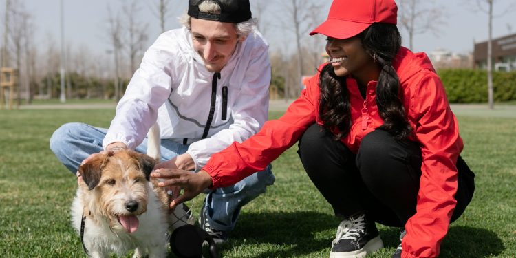 How a Dog Poop Pickup Service Helps Prevent the Spread of Disease