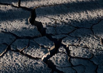 The Importance of Asphalt Crack Sealer: Protecting Your Pavement Investment